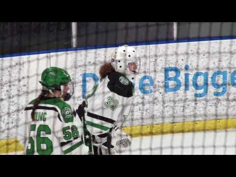 Video of Belle Tire #7 vs Dallas Stars Elite U19 #13 2/27/21