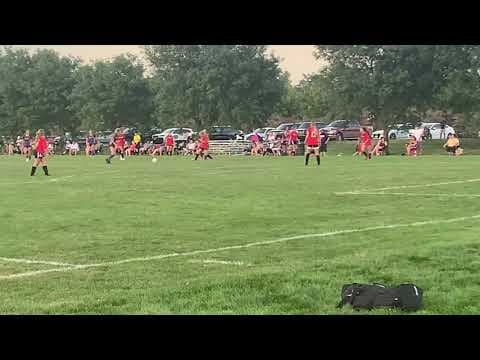 Video of Brooklyn Grout Highlights