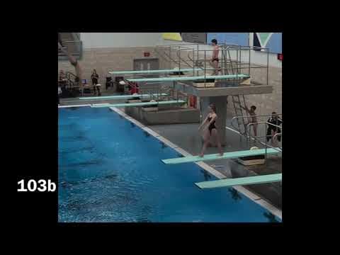 Video of Audrey Leno 2019 Diving Highlights
