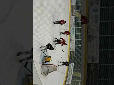 Video of Hockey