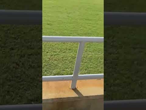 Video of Alecia Simmons Limestone University