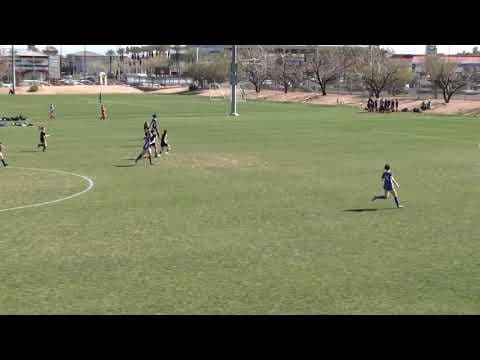 Video of Updated 2019-2020 Highlights