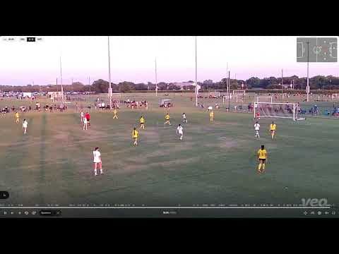 Video of Some 2024 Highlights