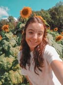 profile image for Desi M Quiles