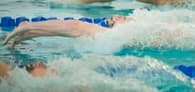 Noah Stillman Men's Swimming recruiting profile image