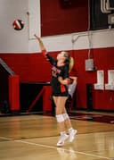 profile image for Lilly Dehnert