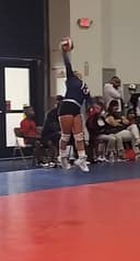 profile image for Alyssa Hernandez