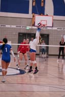 profile image for Alyssa Smith