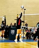 profile image for Gia Galli