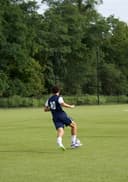 profile image for Enzo Falco