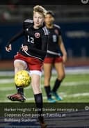 profile image for Taite  Stender