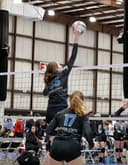 profile image for Marin A Collins