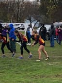 profile image for Sara M Thomas