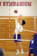 profile image for Justin C Mei