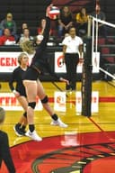 profile image for Madison Tate