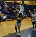 profile image for Elyse K Warren