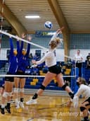 profile image for Avreigh Holmes