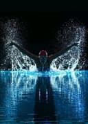 profile image for Gavin Benson GB