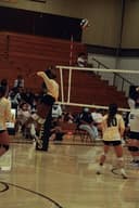 profile image for Andrea Enabosi