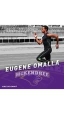 profile image for Eugene Omalla