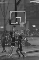 profile image for Joe Melton