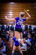 profile image for Sydney Hankel