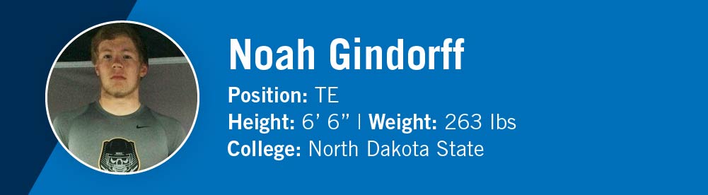 noah gindorff